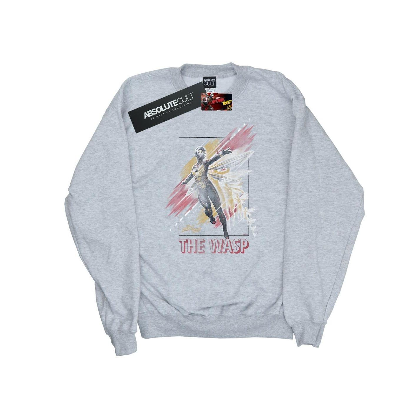 Image of Antman And The Wasp Framed Wasp Sweatshirt Jungen Grau 128