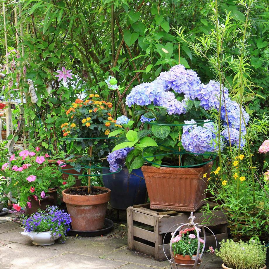 B2X Support pour plantes 39 cm lot de 6  