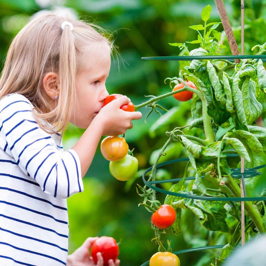 B2X Support pour plantes 39 cm lot de 6  