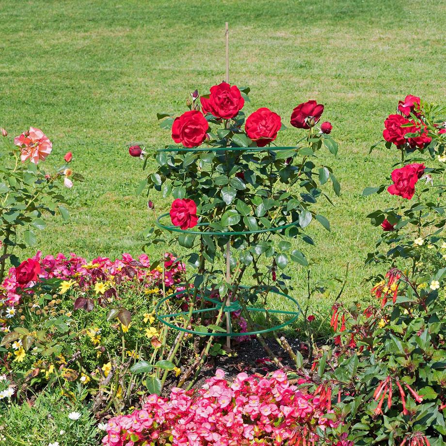 B2X Support pour plantes 39 cm lot de 6  