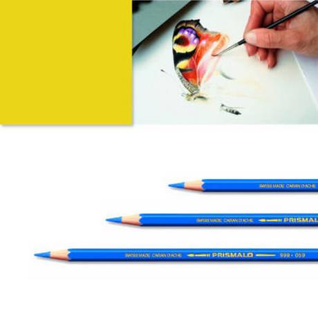 Caran d'Ache Artexport ME7610186843563 pastello colorato  