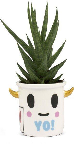 Image of Mini Pflanztopf "yoghurt Planter" Unisex Weiss ONE SIZE