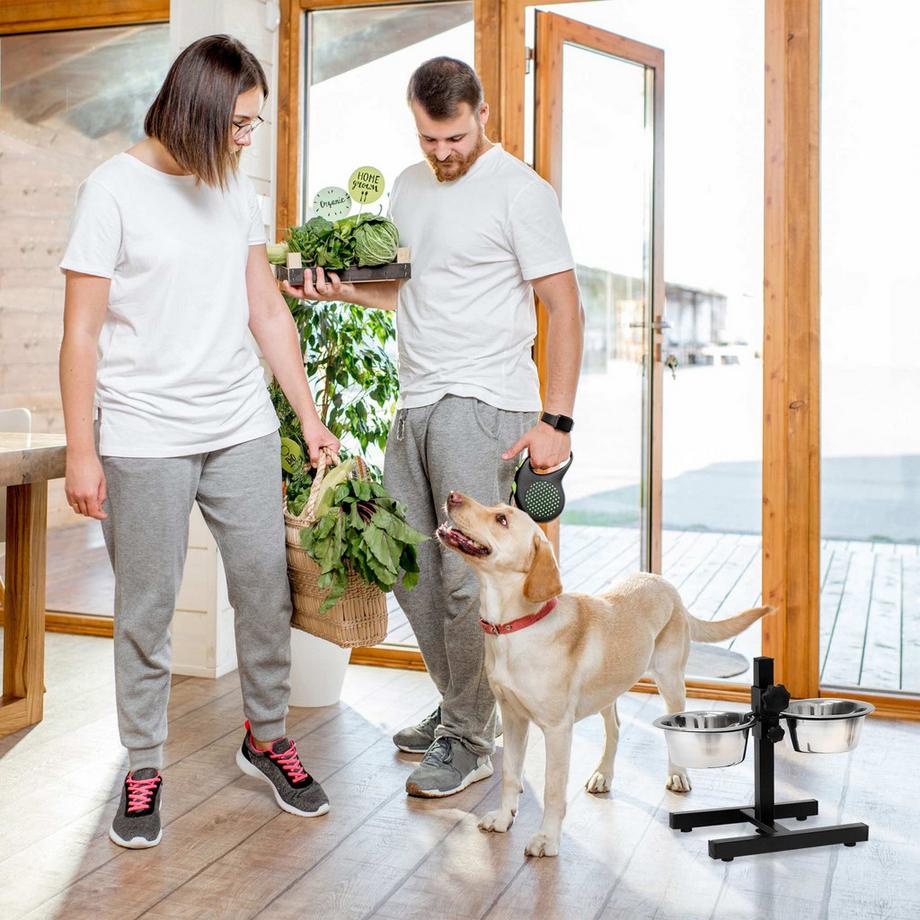 B2X  Hundetreppe 