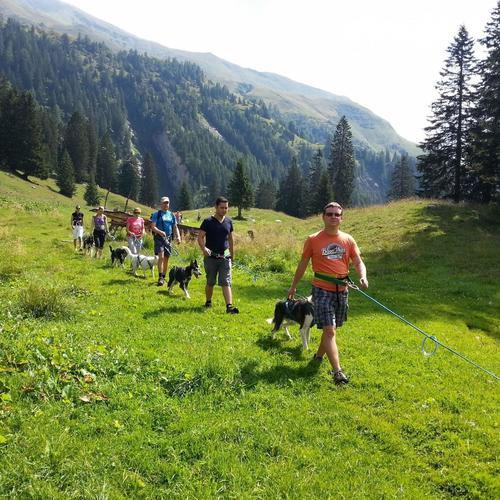 Image of Husky-trekking Im Sommer Unisex