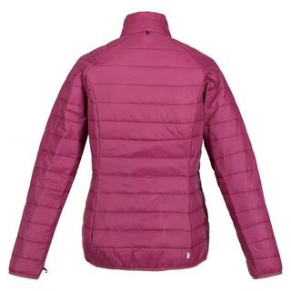 Regatta  Veste imperméable WENTWOOD 