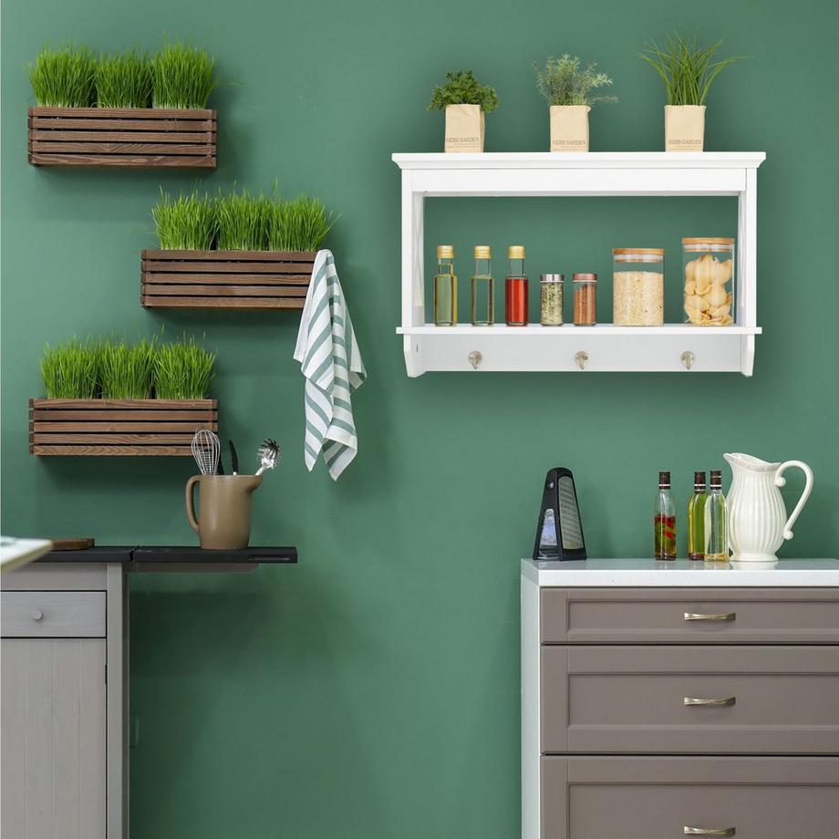 B2X Wandregal mit 3 Haken  