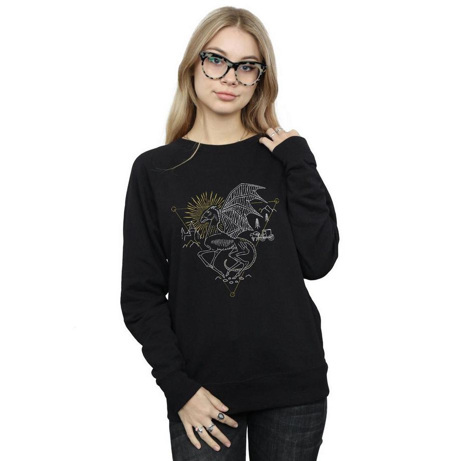 Harry Potter Thestral Sweatshirt Imprimé  
