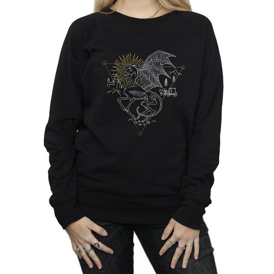 Harry Potter Thestral Sweatshirt Imprimé  