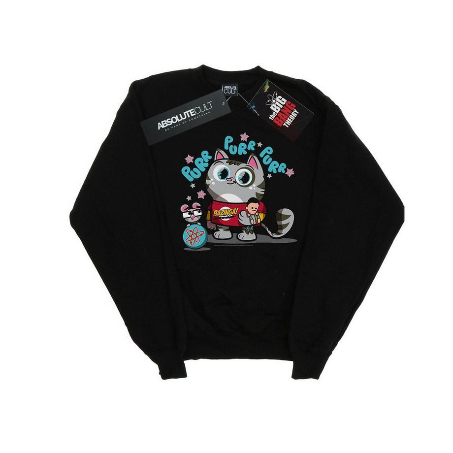 Bazinga Sweatshirt