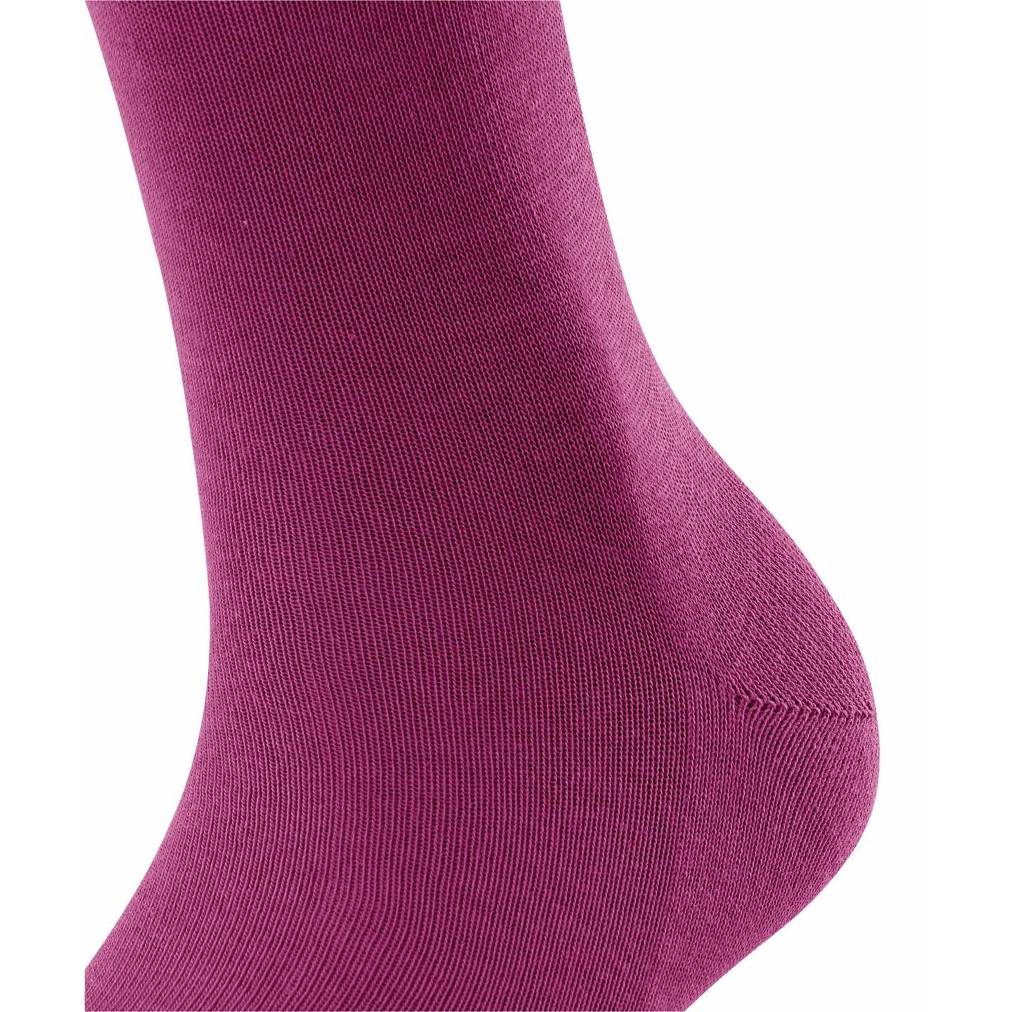 FALKE Socken  