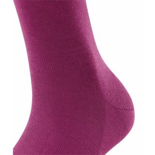 FALKE Socken  