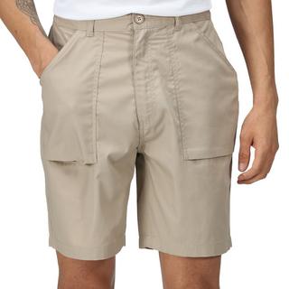 Regatta  Short s 