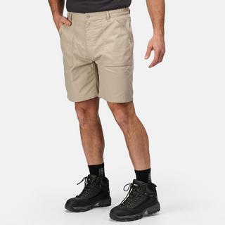 Regatta  Short s 