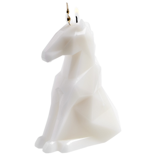 PyroPet PyroPet Einar  