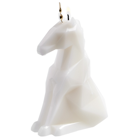 PyroPet PyroPet Einar  