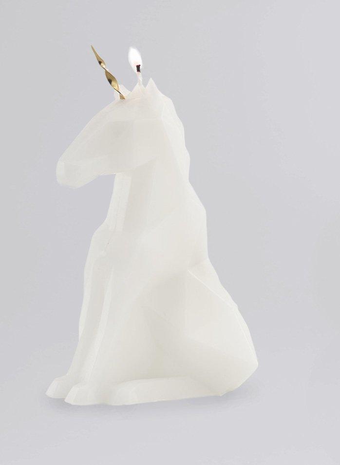 PyroPet PyroPet Einar  