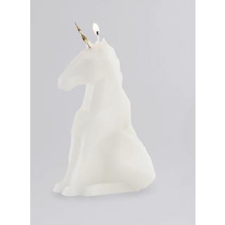 PyroPet PyroPet Einar  