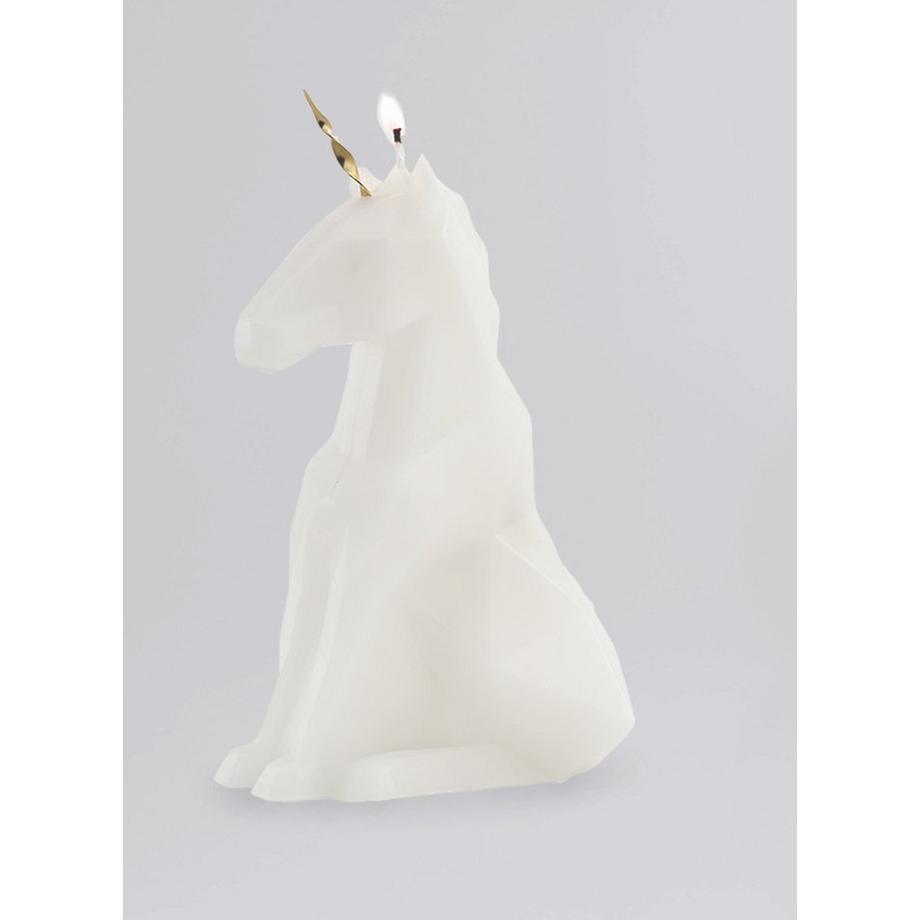 PyroPet PyroPet Einar  