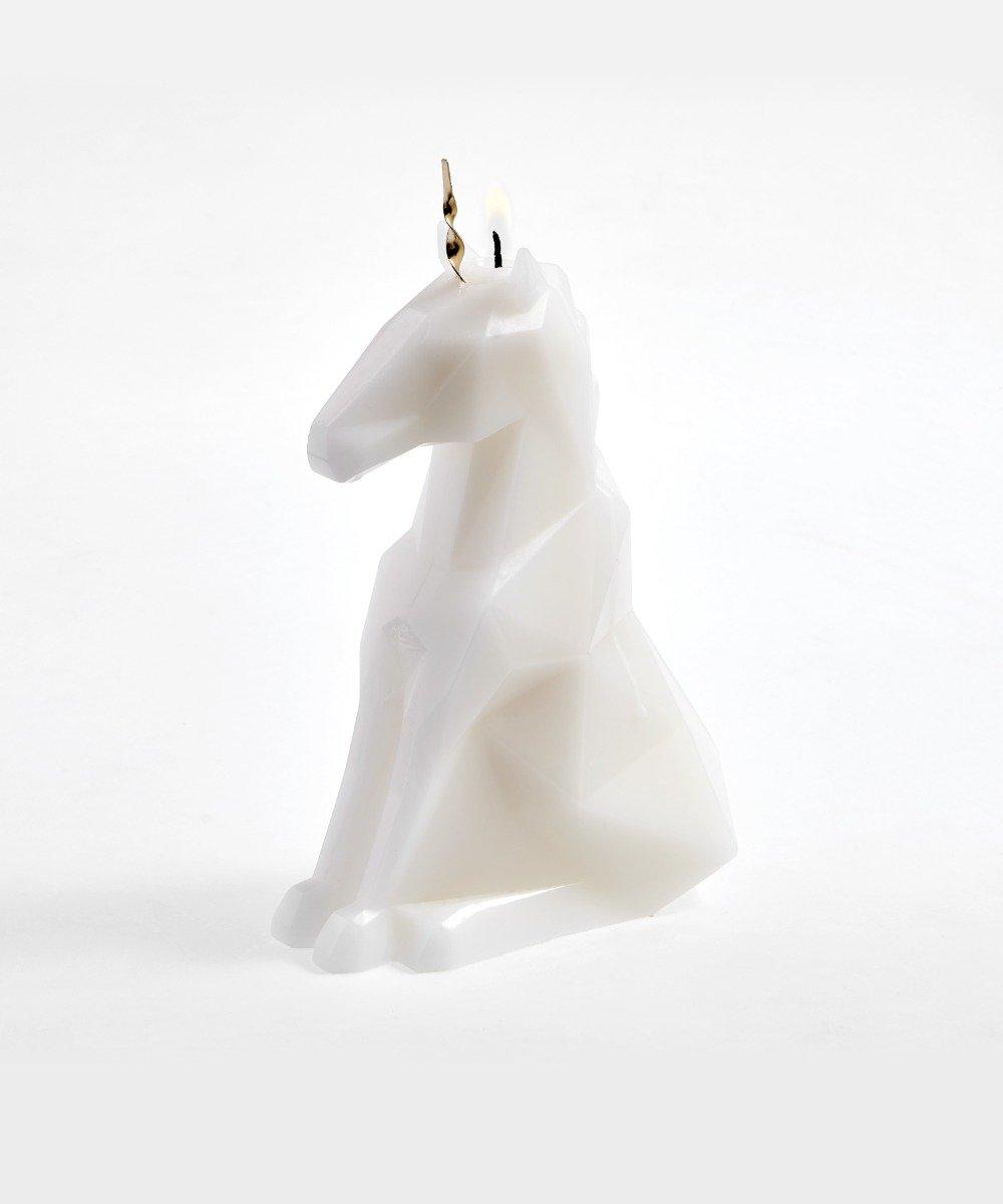 PyroPet PyroPet Einar  