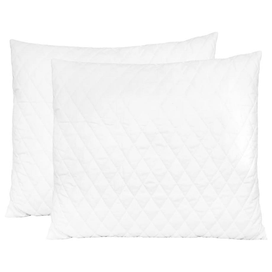282822   pillows 2 pcs memory foam mousse
