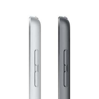 Apple  iPad 2021 (9. Gen) (10.20 ", 256 GB, 4G) 