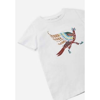 Reima  t-shirt enfant timjami 