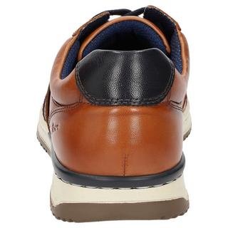 Sioux  Sneaker Cayhall-702 