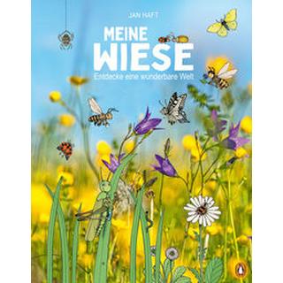 Meine Wiese. - Entdecke eine wunderbare Welt Haft, Jan; Lenkova, claire (Illustrationen) Copertina rigida 