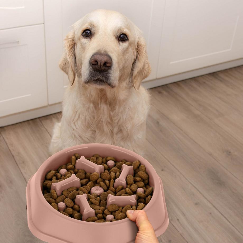 B2X  Anti-Schlingschüssel 500 ml 