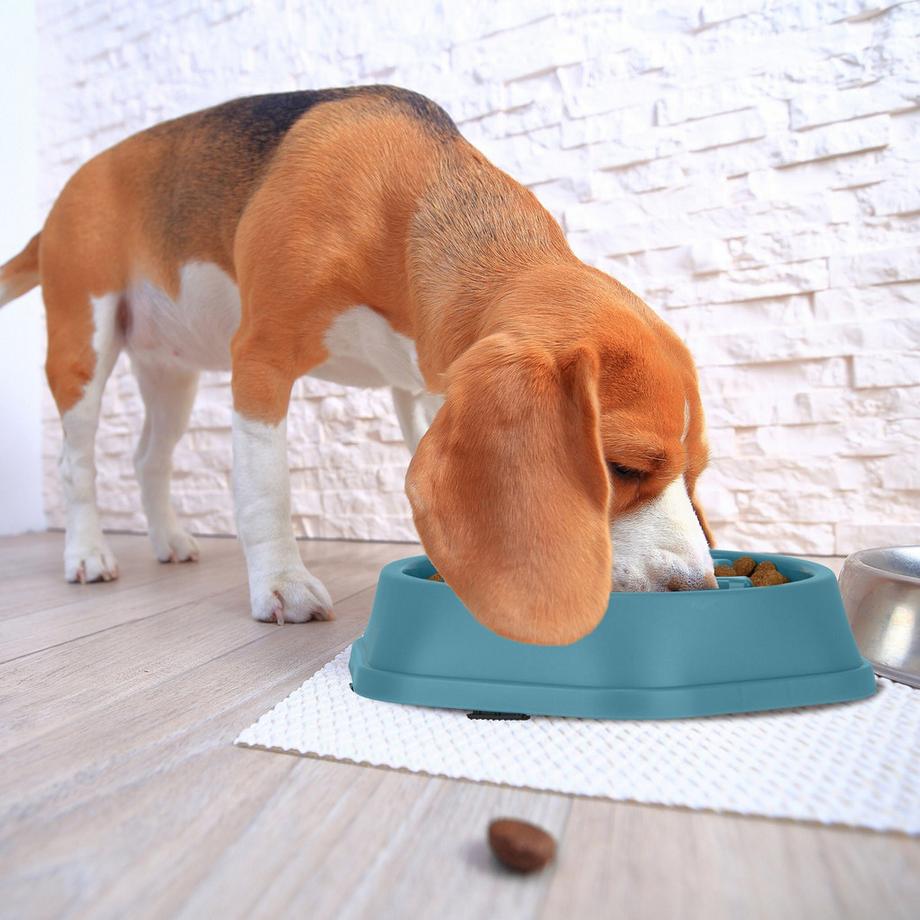 B2X  Anti-Schlingschüssel 500 ml 