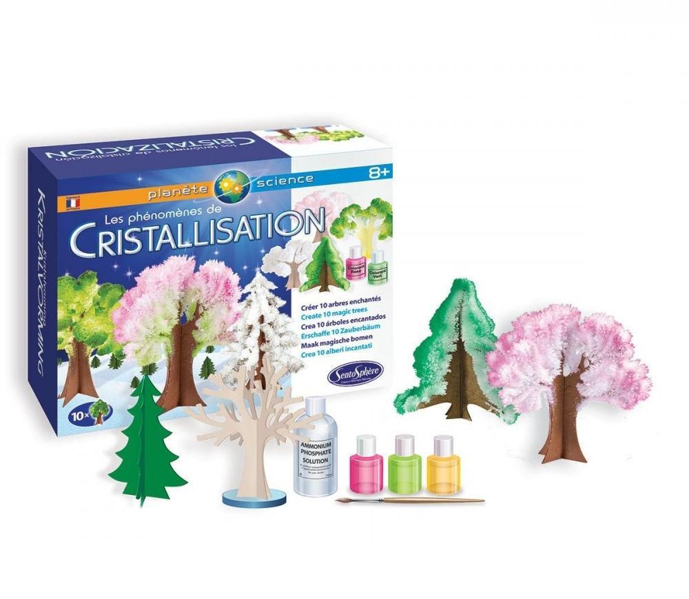 Image of Planète Science Die Phenomene der Kristallisierung