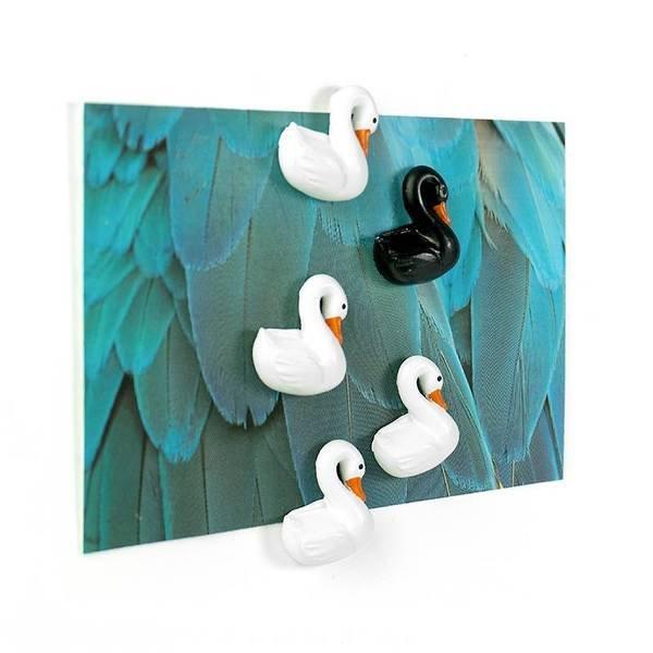 trendform Aimants SWAN set de 5  