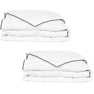 VidaXL Couette en duvet d'hiver 2 pcs  