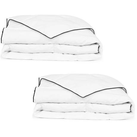 VidaXL Couette en duvet d'hiver 2 pcs  