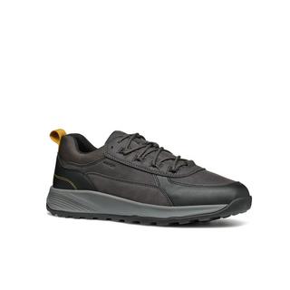 GEOX  sneakers terrestre 