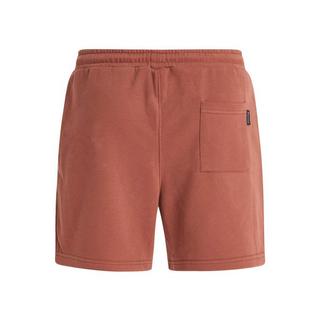 PROTEST PRTMORNE Shorts  