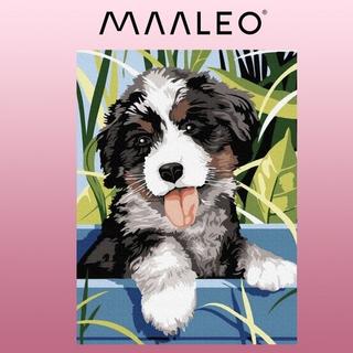 Maaleo Dipinto con i numeri 40x30 cm - Cane Maaleo 22780  