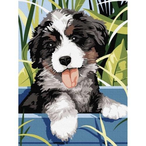 Maaleo Dipinto con i numeri 40x30 cm - Cane Maaleo 22780  