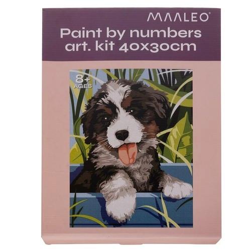 Maaleo Dipinto con i numeri 40x30 cm - Cane Maaleo 22780  