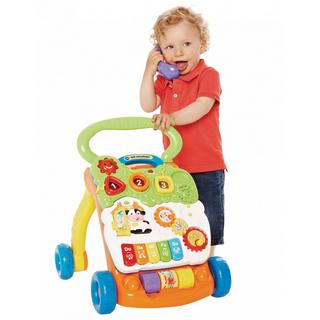 vtech  VTech 80-077005 Babylaufwagen Mehrfarbig 