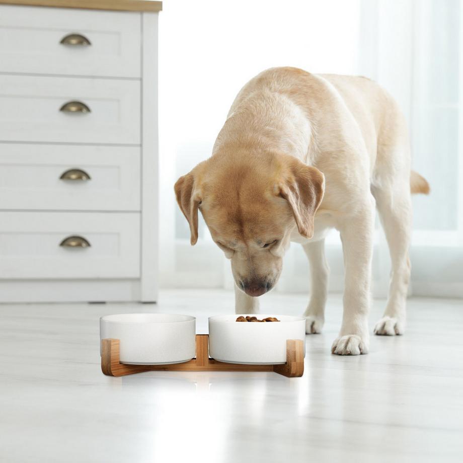 B2X  Keramik-Hundenapf mit Bambusrahmen 