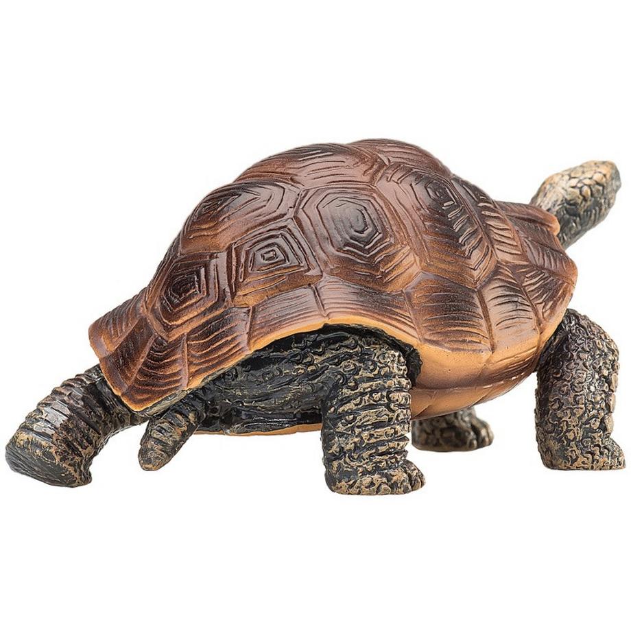 Mojo  Wildlife Riesenschildkröte 