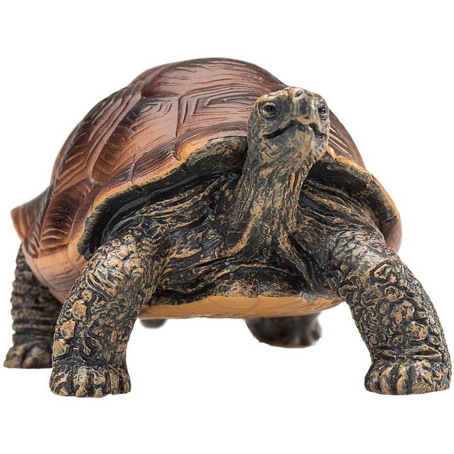 Mojo  Wildlife Riesenschildkröte 