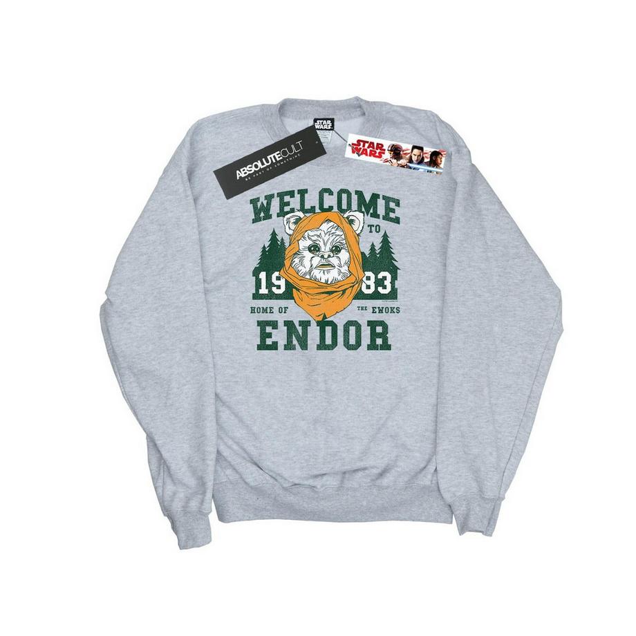 Sweat ENDOR CAMP