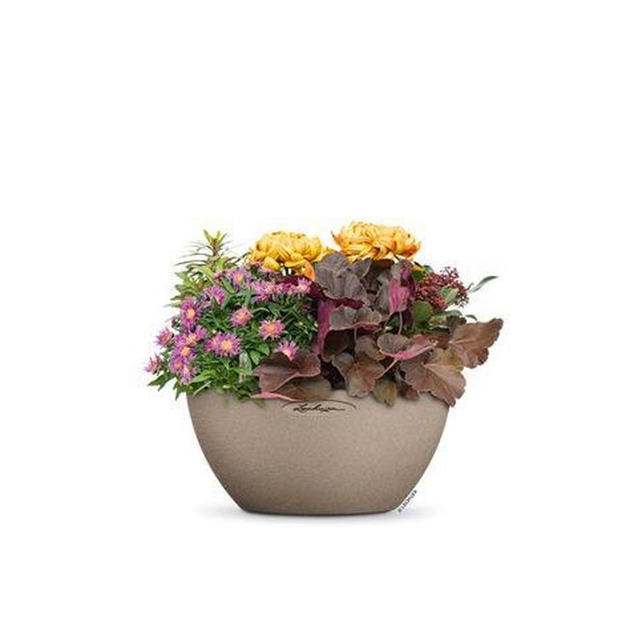 Lechuza CUBETO Stone all-in-one  