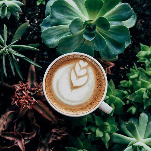 Image of Kaffeeabo - 3 X 4 Kaffeepakete Zu Dir Nach Hause Geliefert Unisex