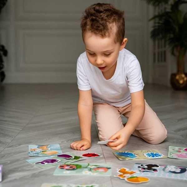 Montessori  Jeu éducatif, Cartes plastiques avec velcro - Couleurs Montessori® by Far far land 