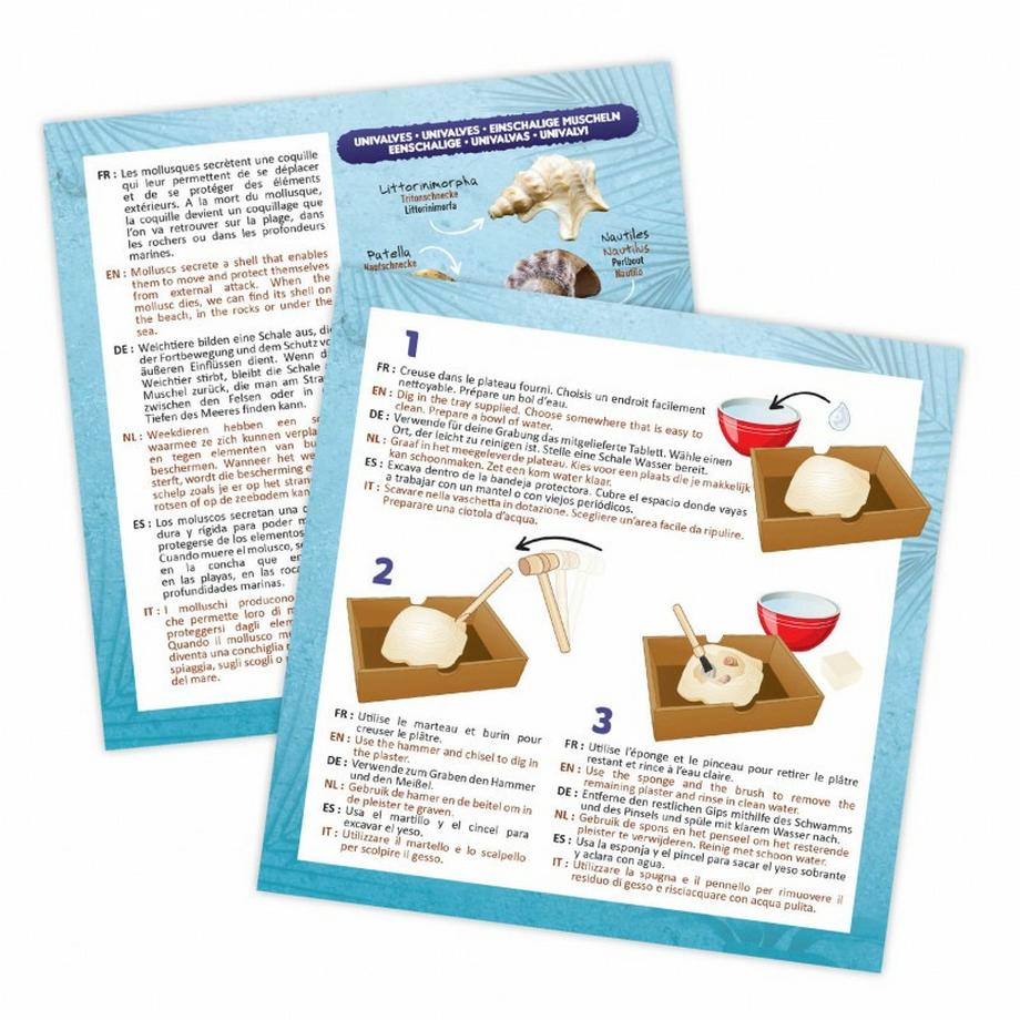 Buki France  Muscheln ausgraben 