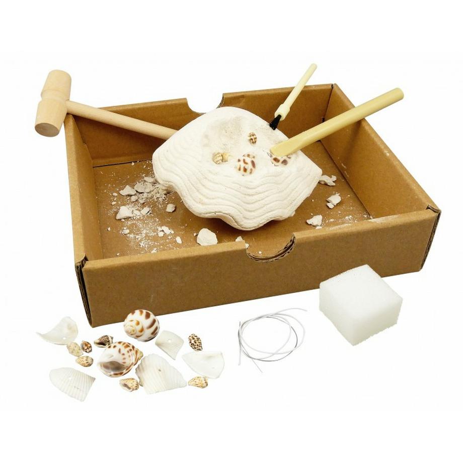 Buki France  Muscheln ausgraben 