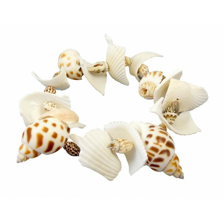 Buki France  Muscheln ausgraben 